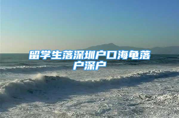 留學生落深圳戶口海龜落戶深戶