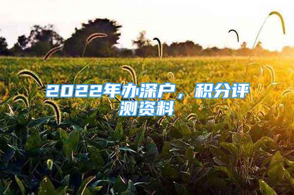 2022年辦深戶，積分評測資料