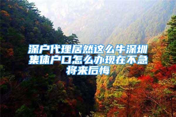 深戶代理居然這么牛深圳集體戶口怎么辦現(xiàn)在不急將來后悔