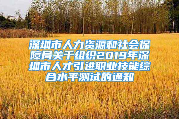 深圳市人力資源和社會(huì)保障局關(guān)于組織2019年深圳市人才引進(jìn)職業(yè)技能綜合水平測(cè)試的通知