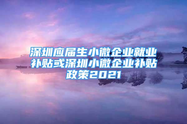 深圳應(yīng)屆生小微企業(yè)就業(yè)補貼或深圳小微企業(yè)補貼政策2021