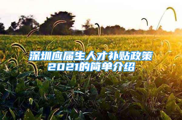 深圳應(yīng)屆生人才補貼政策2021的簡單介紹