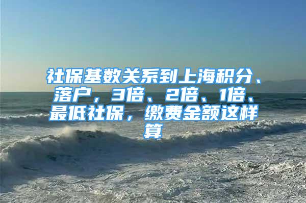 社保基數(shù)關(guān)系到上海積分、落戶，3倍、2倍、1倍、最低社保，繳費(fèi)金額這樣算→