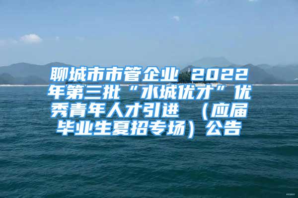 聊城市市管企業(yè) 2022年第三批“水城優(yōu)才”優(yōu)秀青年人才引進 （應屆畢業(yè)生夏招專場）公告