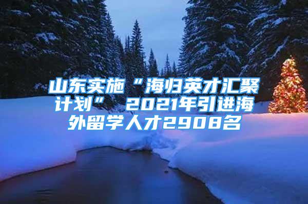 山東實(shí)施“海歸英才匯聚計(jì)劃” 2021年引進(jìn)海外留學(xué)人才2908名