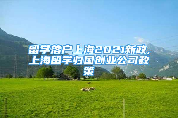 留學(xué)落戶上海2021新政,上海留學(xué)歸國創(chuàng)業(yè)公司政策