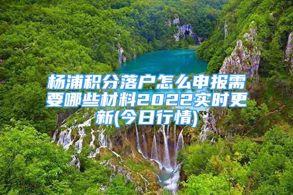 楊浦積分落戶怎么申報需要哪些材料2022實時更新(今日行情)