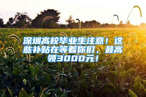 深圳高校畢業(yè)生注意！這些補貼在等著你們，最高領3000元！