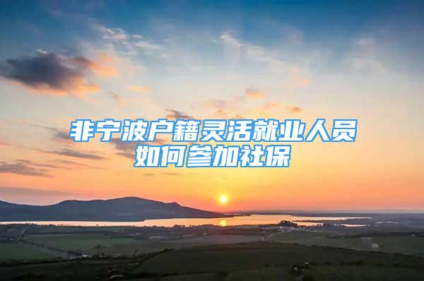 非寧波戶籍靈活就業(yè)人員如何參加社保