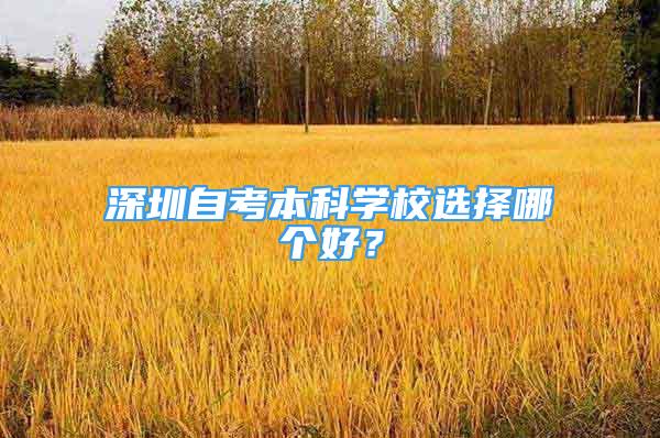 深圳自考本科學(xué)校選擇哪個(gè)好？