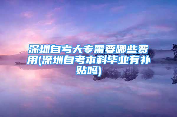 深圳自考大專需要哪些費(fèi)用(深圳自考本科畢業(yè)有補(bǔ)貼嗎)