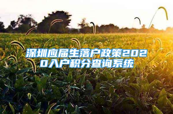 深圳應屆生落戶政策2020入戶積分查詢系統(tǒng)