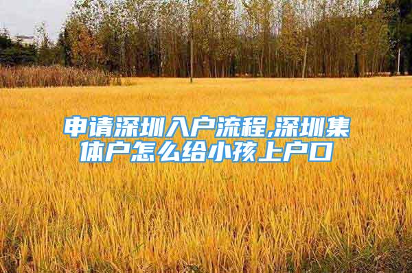 申請深圳入戶流程,深圳集體戶怎么給小孩上戶口