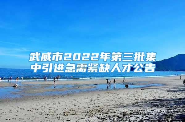 武威市2022年第三批集中引進(jìn)急需緊缺人才公告