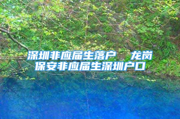 深圳非應(yīng)屆生落戶  龍崗保安非應(yīng)屆生深圳戶口