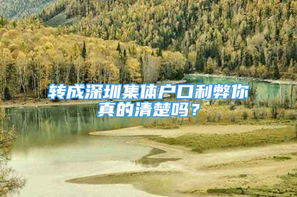 轉(zhuǎn)成深圳集體戶口利弊你真的清楚嗎？