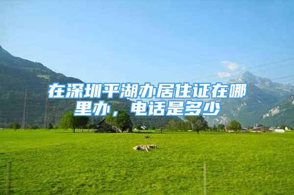 在深圳平湖辦居住證在哪里辦，電話是多少