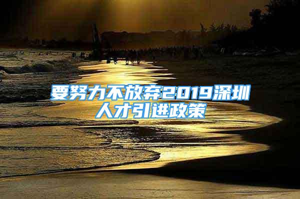 要努力不放棄2019深圳人才引進(jìn)政策