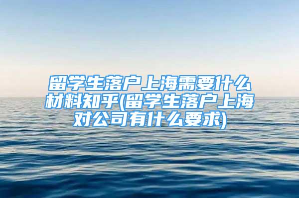 留學生落戶上海需要什么材料知乎(留學生落戶上海對公司有什么要求)