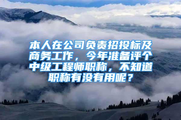 本人在公司負(fù)責(zé)招投標(biāo)及商務(wù)工作，今年準(zhǔn)備評(píng)個(gè)中級(jí)工程師職稱，不知道職稱有沒(méi)有用呢？