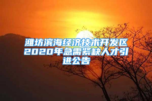 濰坊濱海經(jīng)濟技術(shù)開發(fā)區(qū)2020年急需緊缺人才引進(jìn)公告