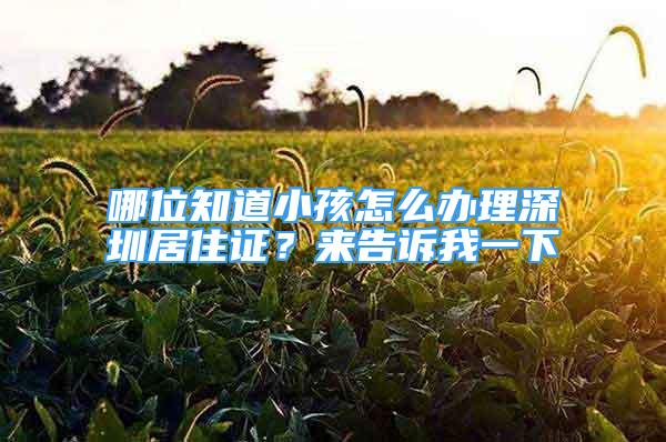 哪位知道小孩怎么辦理深圳居住證？來告訴我一下