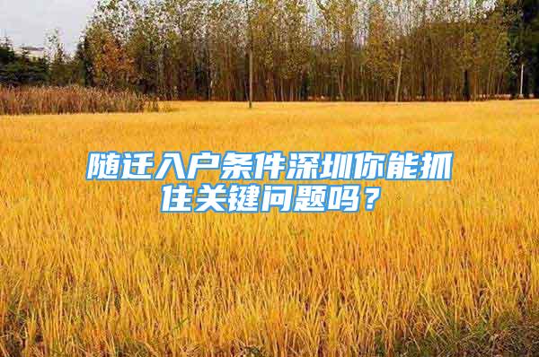 隨遷入戶條件深圳你能抓住關鍵問題嗎？