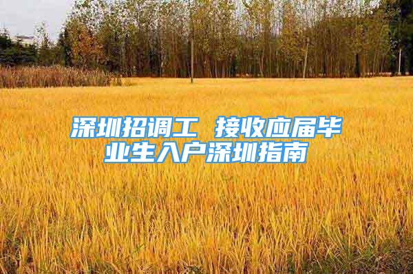 深圳招調(diào)工 接收應(yīng)屆畢業(yè)生入戶深圳指南