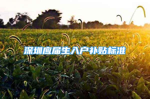 深圳應屆生入戶補貼標準