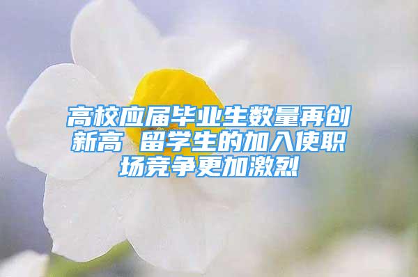 高校應(yīng)屆畢業(yè)生數(shù)量再創(chuàng)新高 留學(xué)生的加入使職場競爭更加激烈