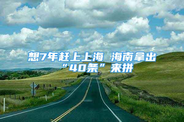 想7年趕上上海 海南拿出“40條”來拼