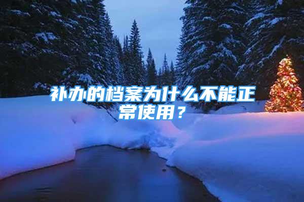 補(bǔ)辦的檔案為什么不能正常使用？