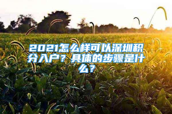 2021怎么樣可以深圳積分入戶？具體的步驟是什么？