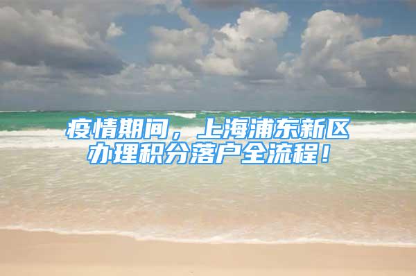 疫情期間，上海浦東新區(qū)辦理積分落戶全流程！