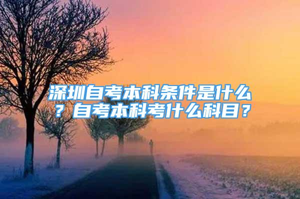 深圳自考本科條件是什么？自考本科考什么科目？