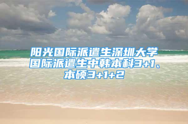 陽(yáng)光國(guó)際派遣生深圳大學(xué)國(guó)際派遣生中韓本科3+1、本碩3+1+2