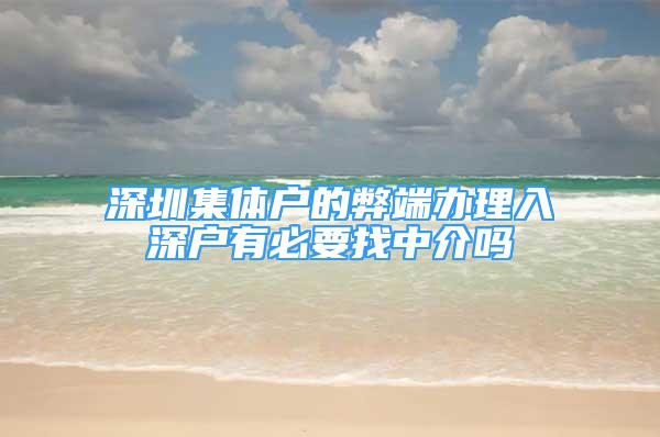 深圳集體戶的弊端辦理入深戶有必要找中介嗎