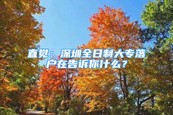 直覺：深圳全日制大專落戶在告訴你什么？