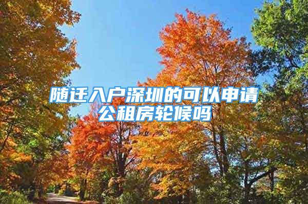 隨遷入戶深圳的可以申請(qǐng)公租房輪候嗎