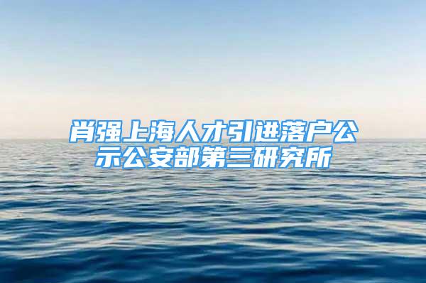 肖強上海人才引進落戶公示公安部第三研究所