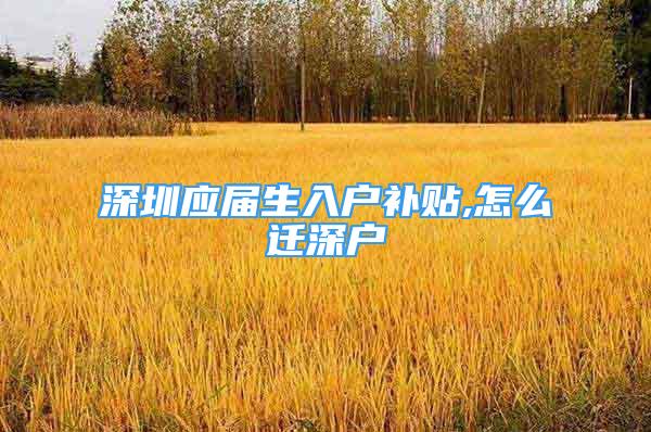 深圳應屆生入戶補貼,怎么遷深戶