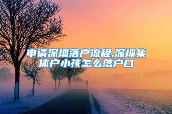 申請深圳落戶流程,深圳集體戶小孩怎么落戶口