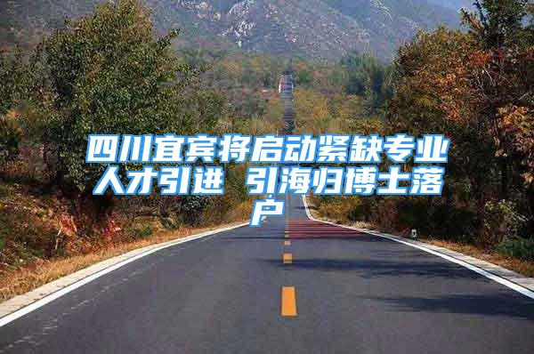 四川宜賓將啟動緊缺專業(yè)人才引進(jìn) 引海歸博士落戶