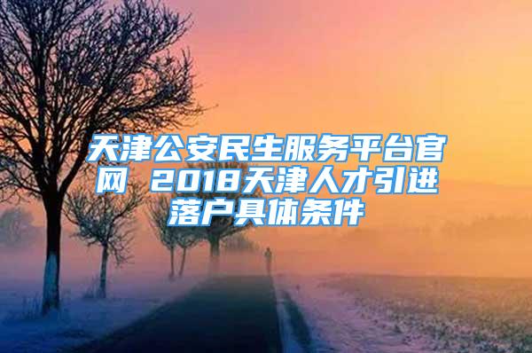 天津公安民生服務(wù)平臺(tái)官網(wǎng) 2018天津人才引進(jìn)落戶具體條件