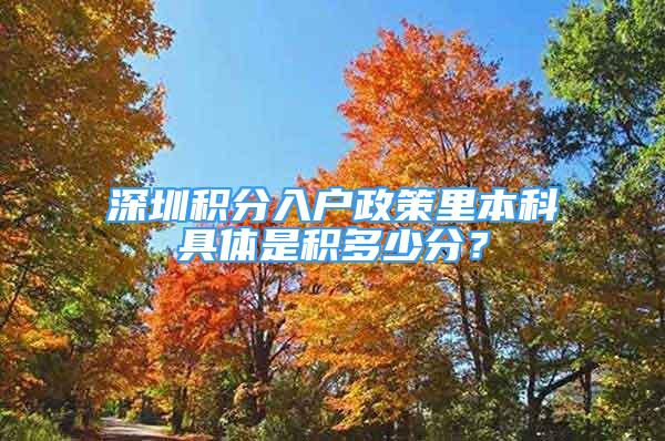 深圳積分入戶政策里本科具體是積多少分？