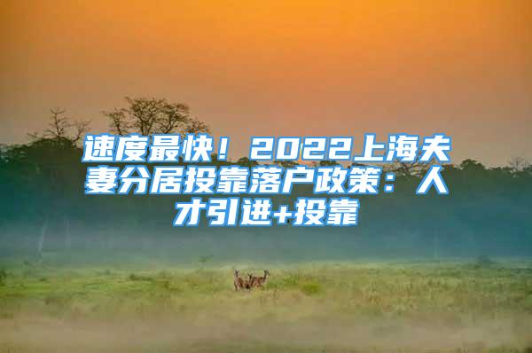 速度最快！2022上海夫妻分居投靠落戶政策：人才引進(jìn)+投靠