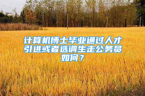 計算機博士畢業(yè)通過人才引進(jìn)或者選調(diào)生走公務(wù)員如何？