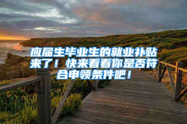 應(yīng)屆生畢業(yè)生的就業(yè)補貼來了！快來看看你是否符合申領(lǐng)條件吧！