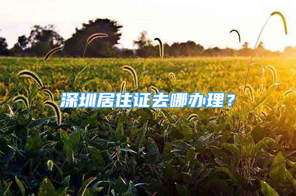 深圳居住證去哪辦理？