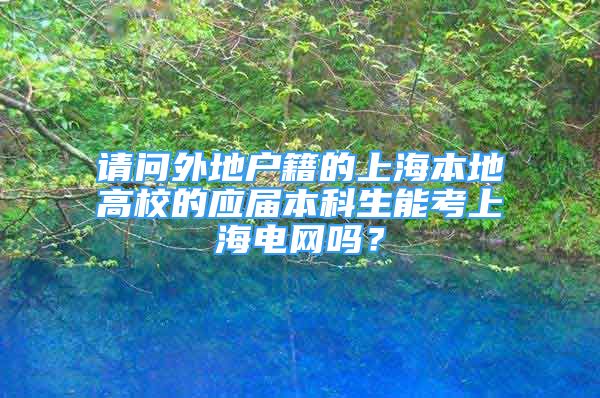 請(qǐng)問(wèn)外地戶籍的上海本地高校的應(yīng)屆本科生能考上海電網(wǎng)嗎？